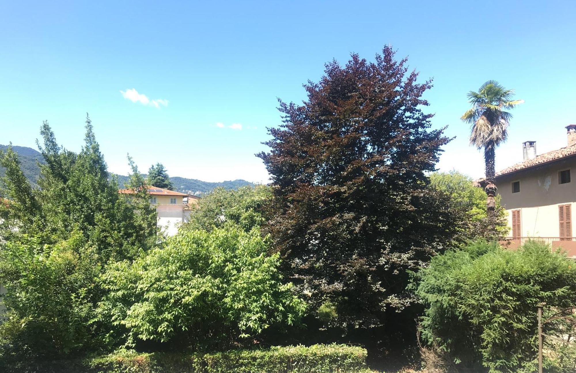Cav Motteno Mandello del Lario Esterno foto